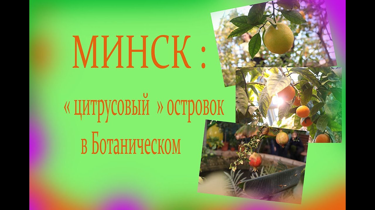 Минск: 
