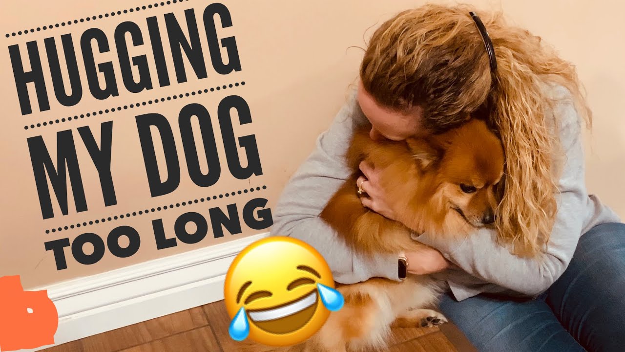 Hugging my dog too long (funny commentary)