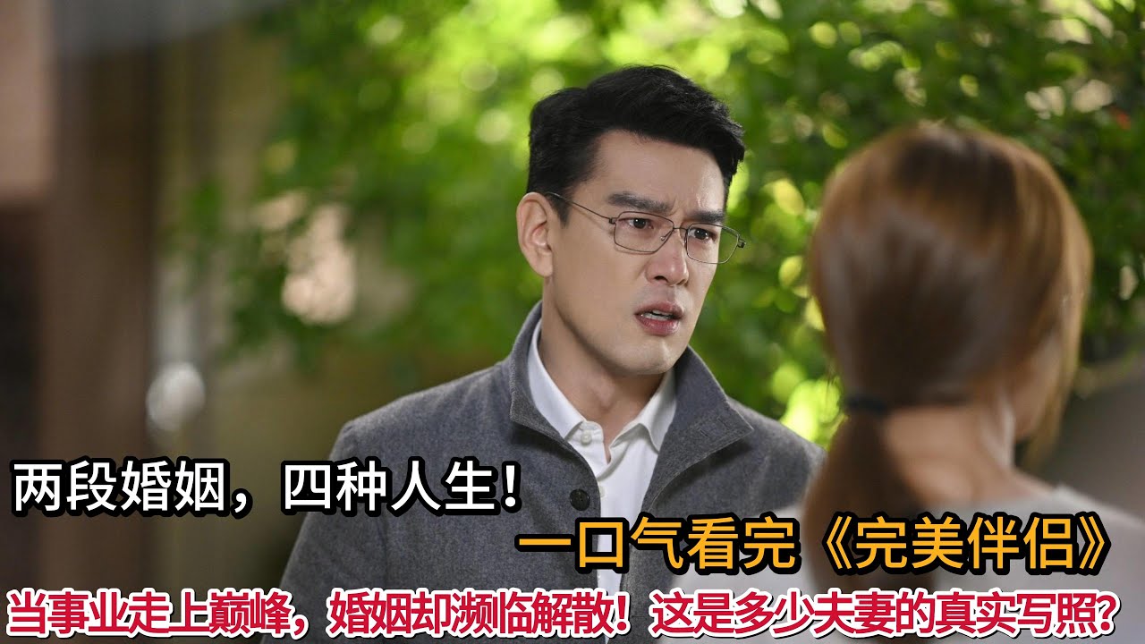 一口气看完都市情感剧《完美伴侣》当事业走上巅峰，婚姻却濒临解散！这是多少夫妻的真实写照？