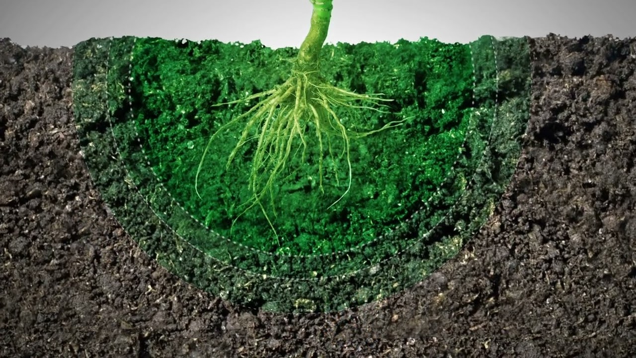 Tomorrow Seeds Today -  Efficiënt gebruik van water