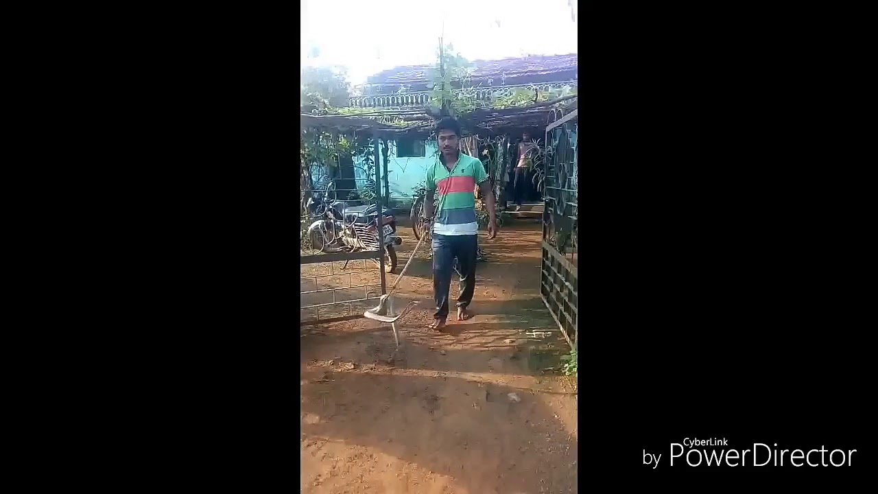 Rescue Common Cobra Snake