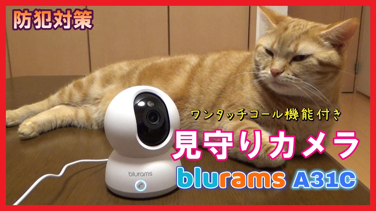 【防犯対策】blurams 見守りカメラ A31C ワンタッチコール機能付き【ペットカメラ】