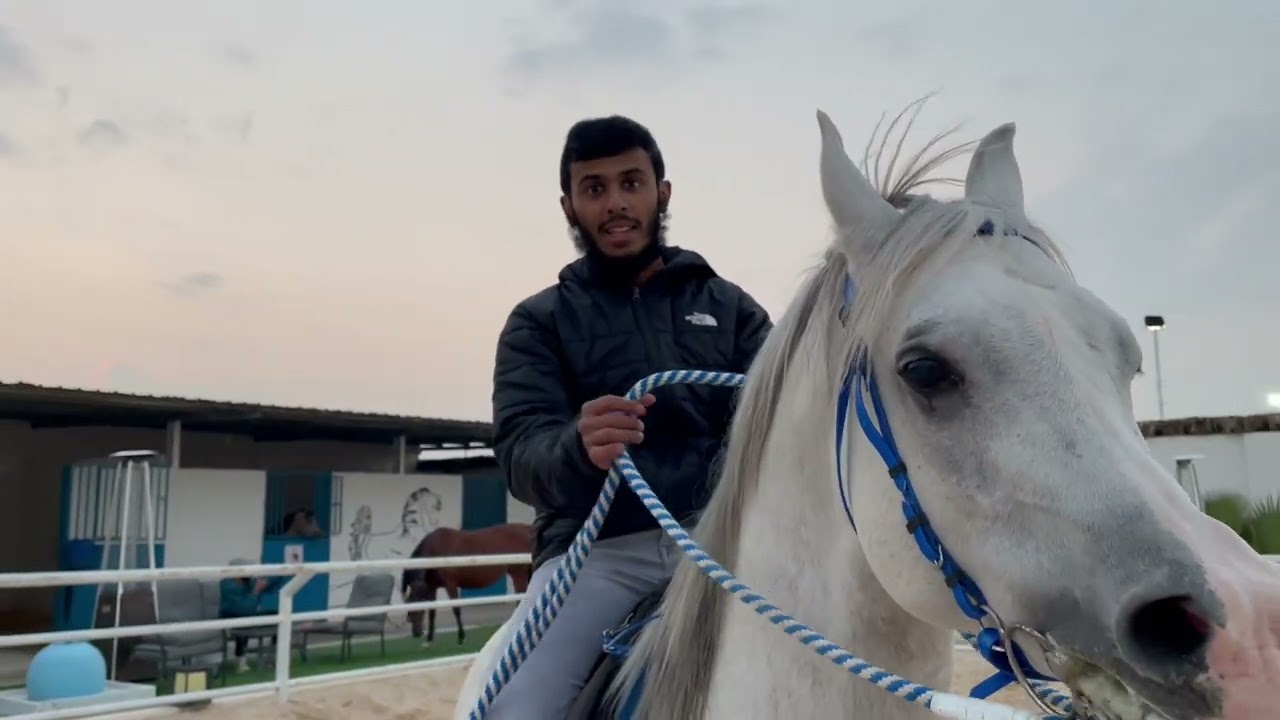 الثبات على السرج😍😍/ سلسلة تعليم الركوب الحلقة (٣)