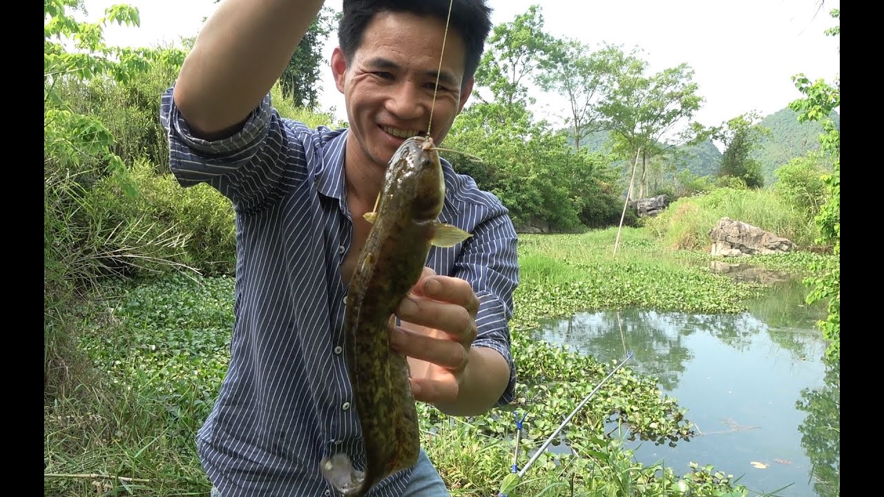 农村小伙用十个生鸭蛋打窝，几分钟后开钓狂甩几十竿，靓货抓到爆