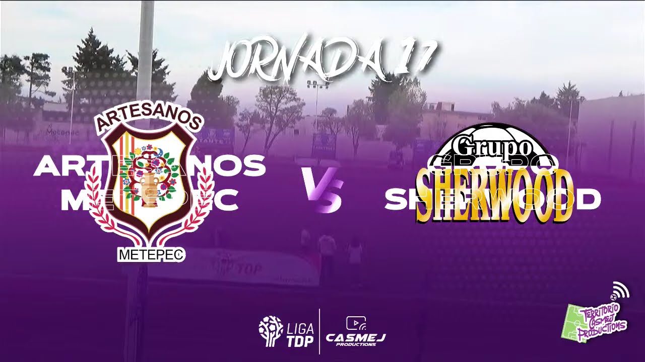 Artesanos Metepec vs Grupo Sherwood