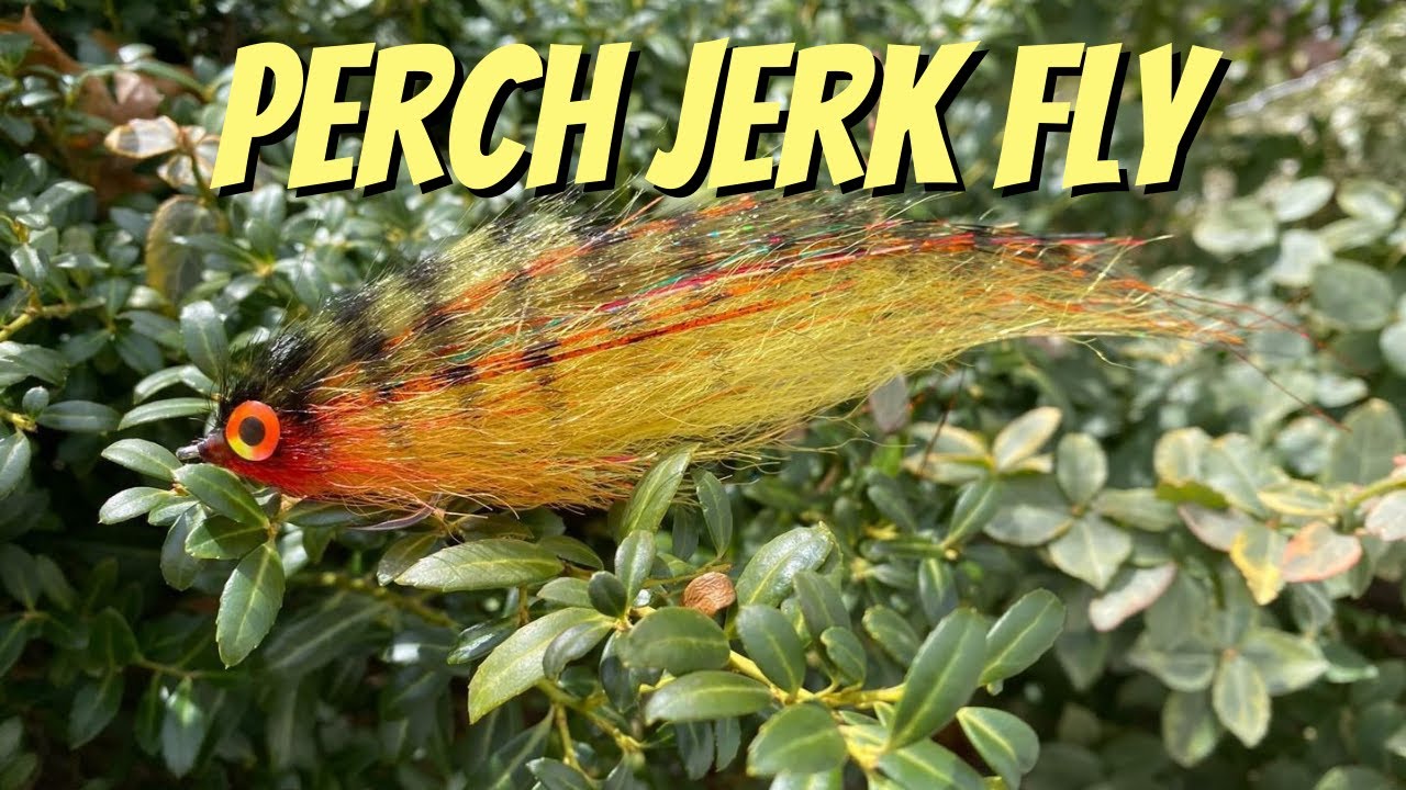 Fly Tying Tutorial | Perch Pattern Streamer
