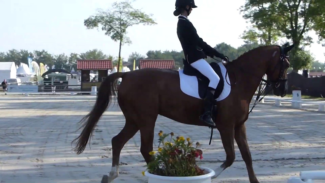 Sarah Bracco Championnat de France 2018 Lamotte Beuvron , dressage Club 3 junior