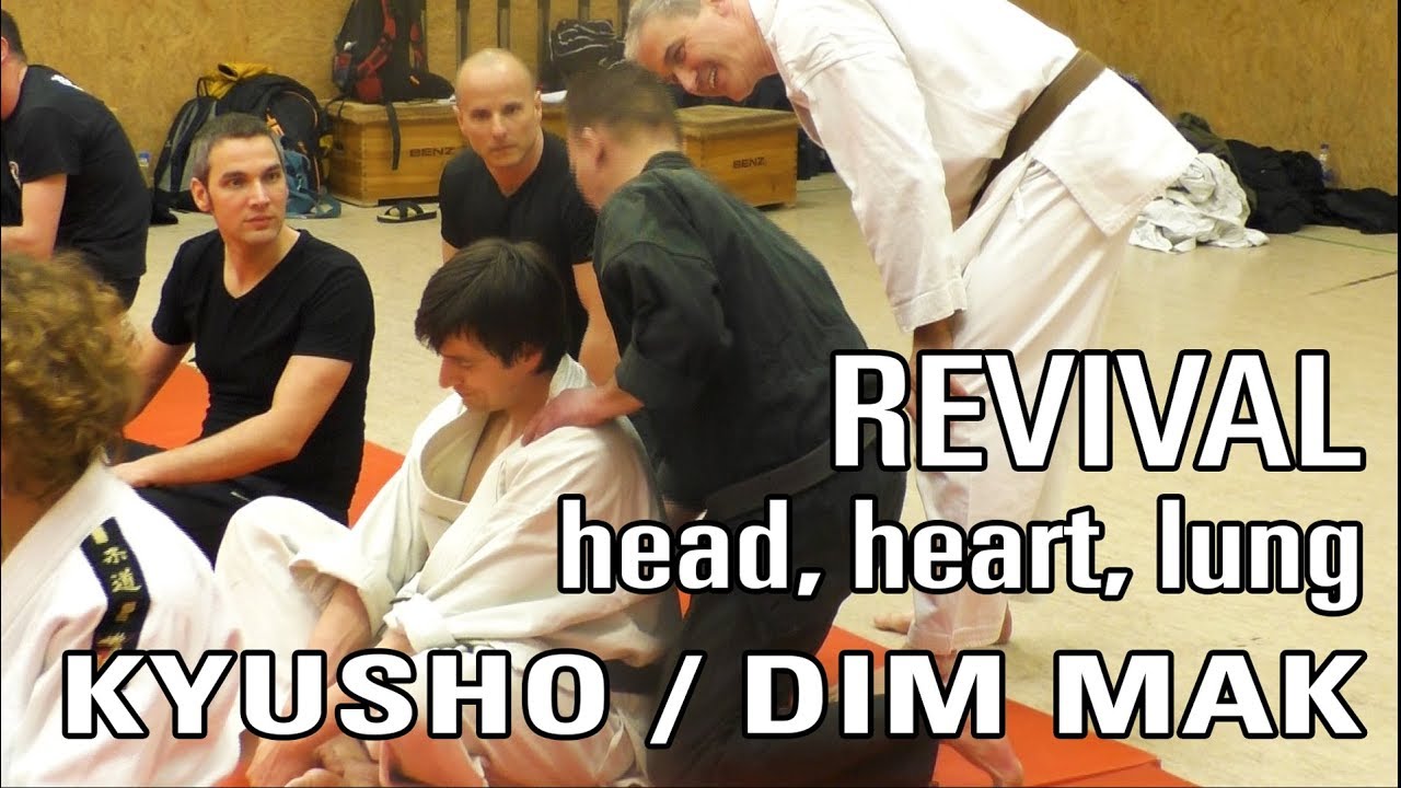 KYUSHO / DIMMAK Kopf, Herz, Lungen REVIVAL  - Seminar 
