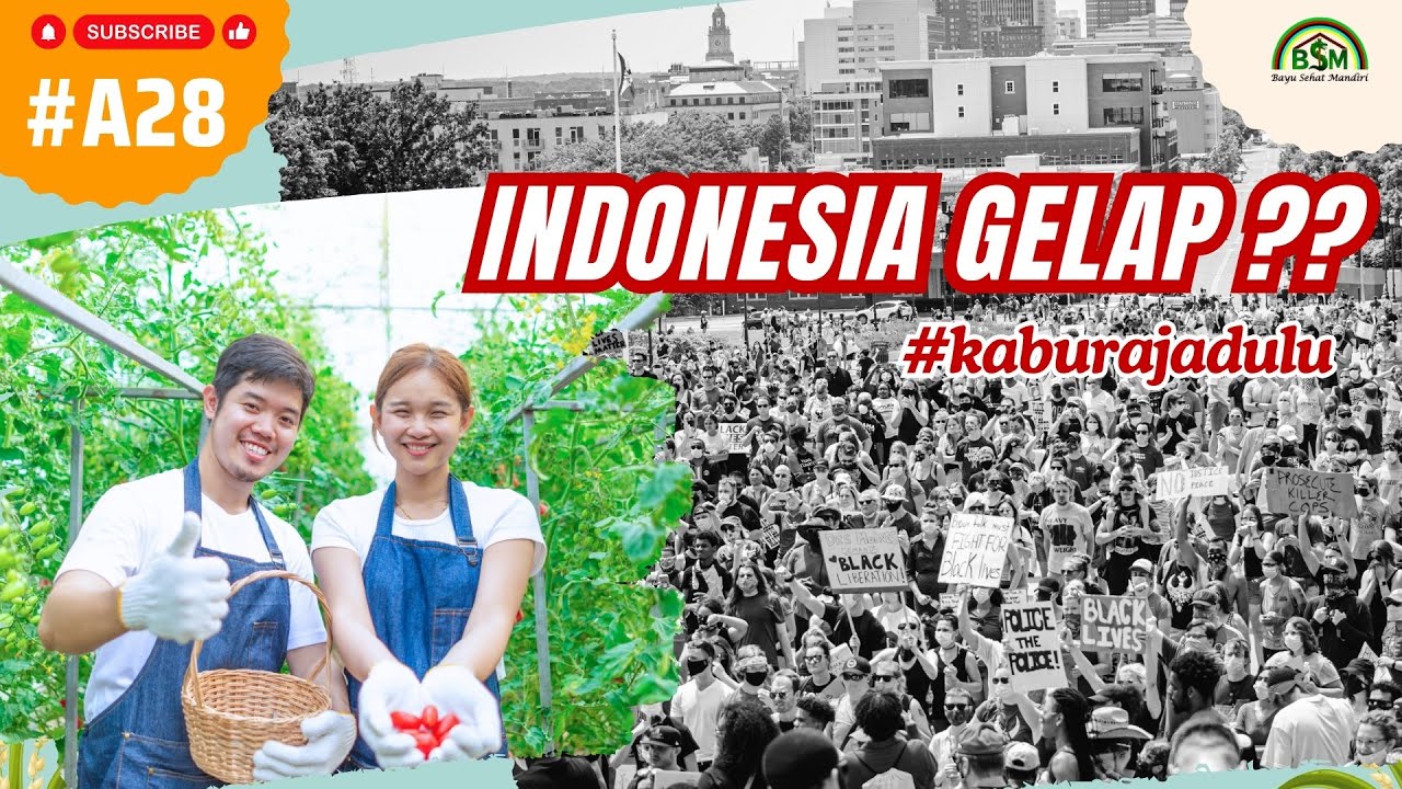Jangan Kabur !! Saatnya Pemuda Produktif Melalui Pertanian #kaburajadulu