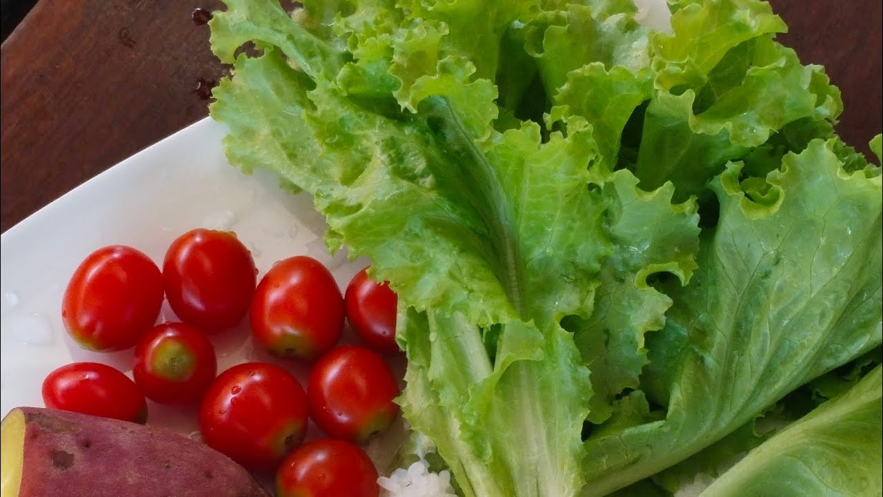 ដាំសាលាដ
