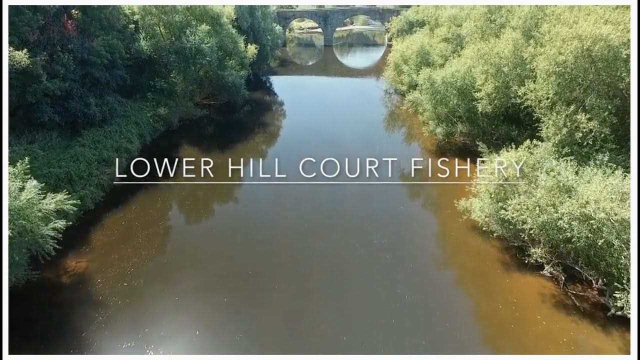Lower Hill Court Fishery :: River Wye :: Angling Dreams :: Barbel