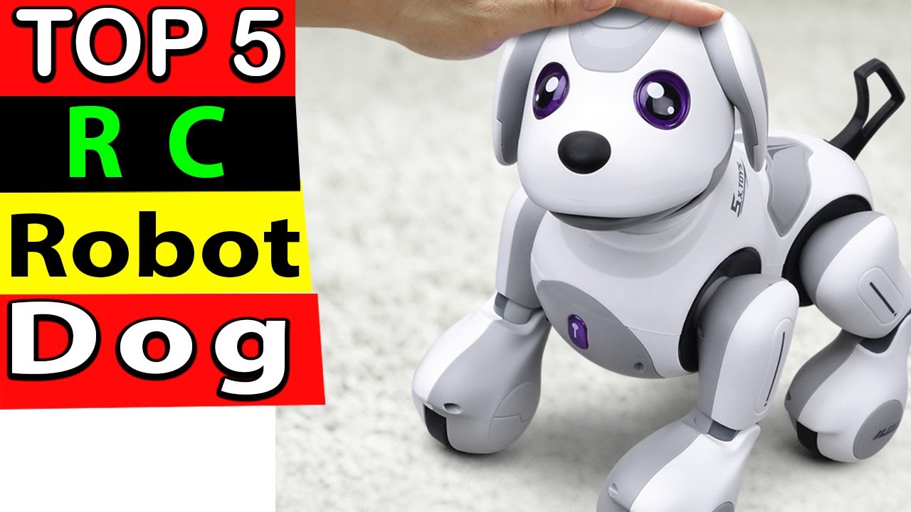 Best RC Robot Dog In 2023 (TOP 5)