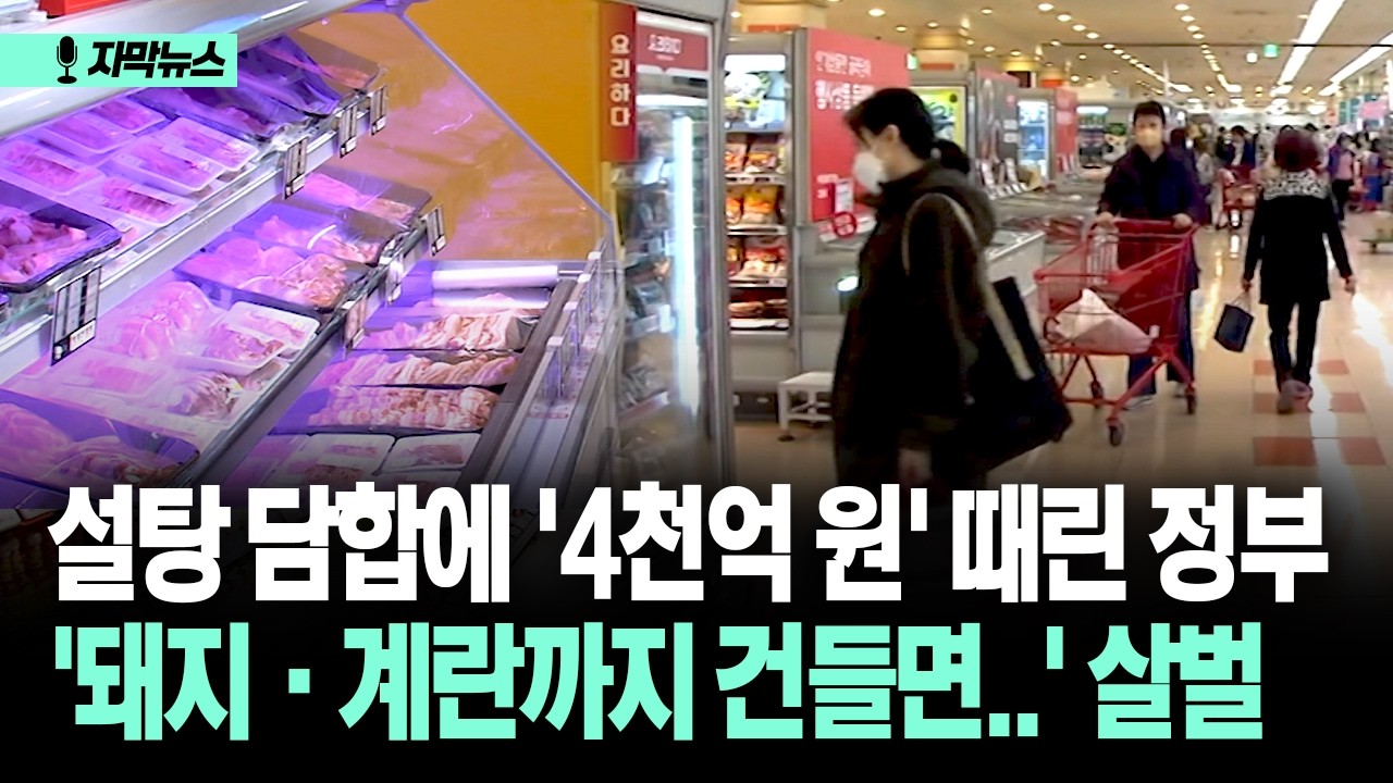 [자막뉴스] 설탕 담합에 '4천억 원' 때린 정부... '돼지·계란까지 건들면..' 살벌
