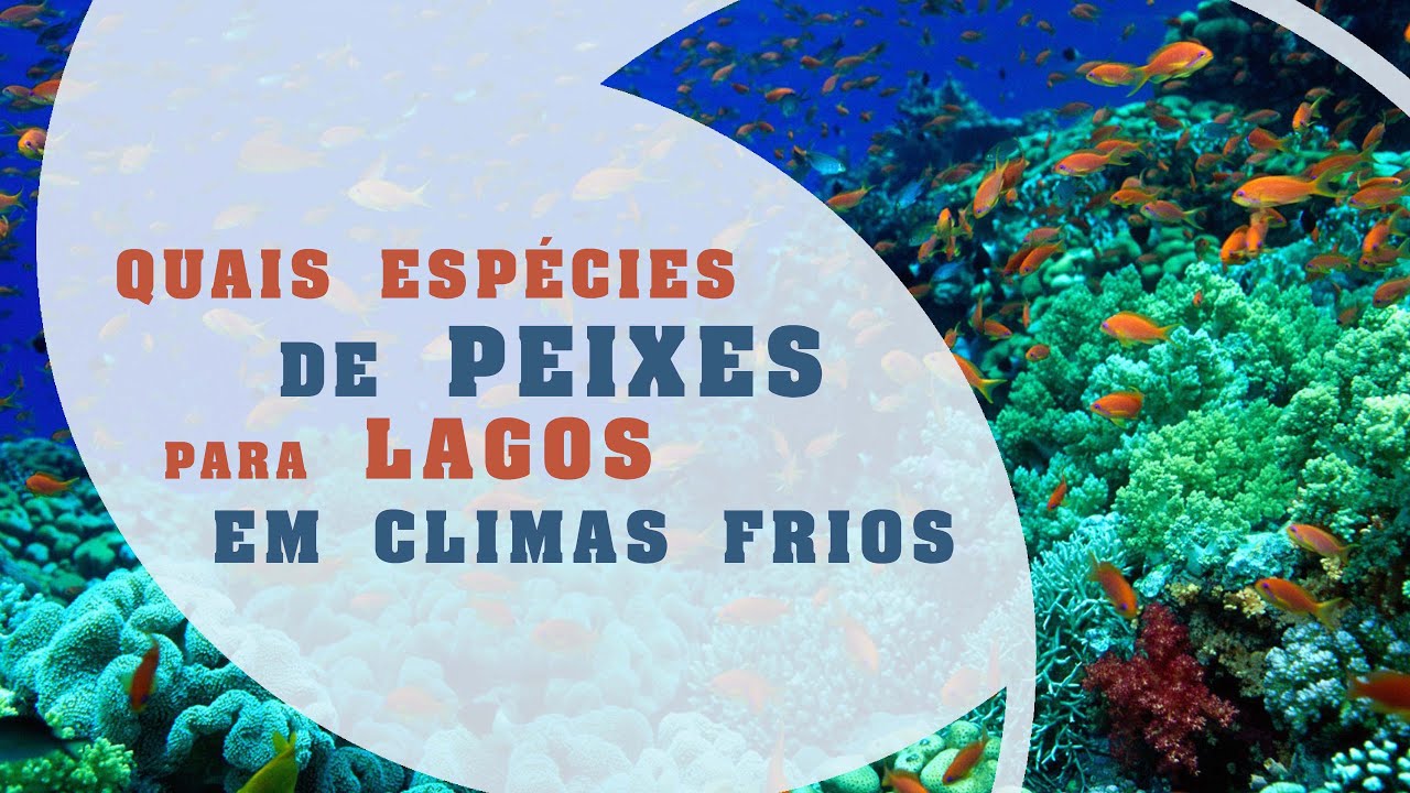 Dicas Ecosys - QUAIS ESP&Eacute;CIES DE PEIXES PARA LAGOS EM CLIMAS FRIOS