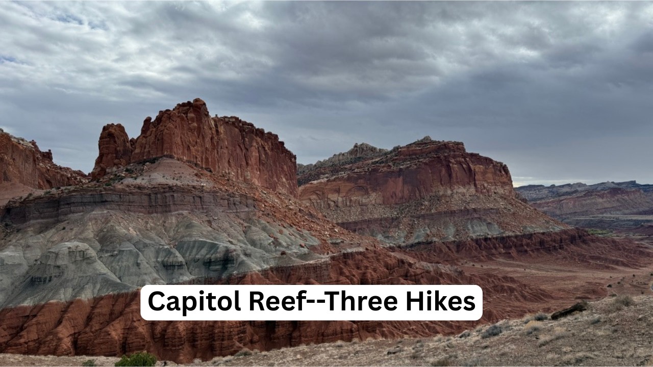 Capitol Reef - Three Hikes