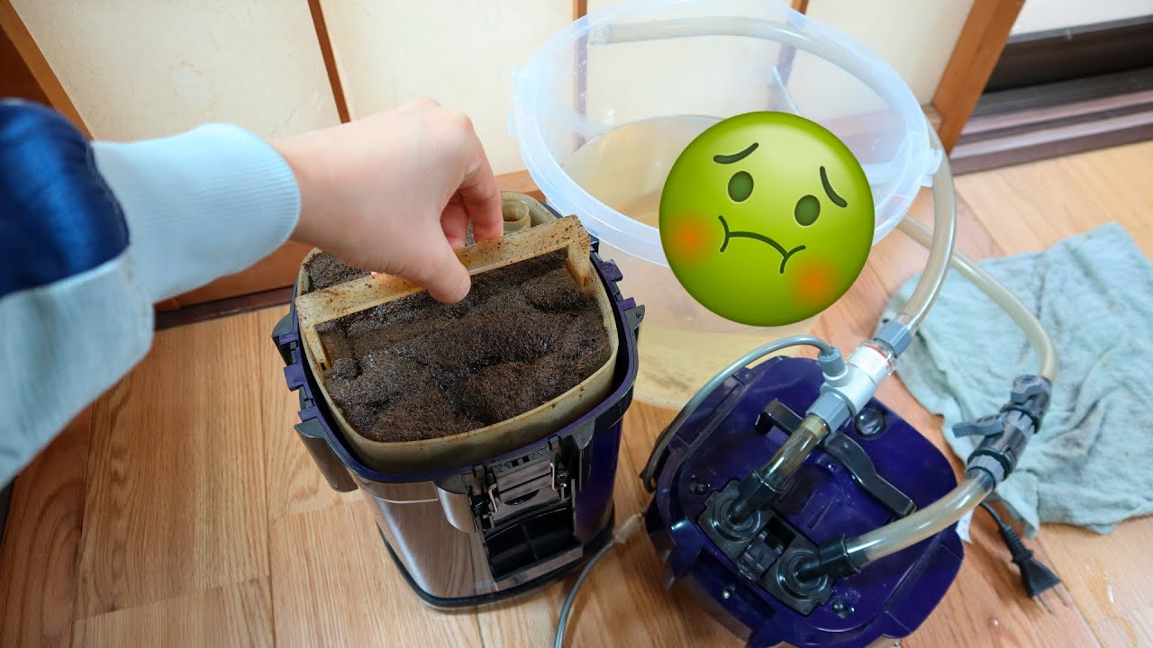 How Dirty is My Aquarium Canister Filter After 1 Year??