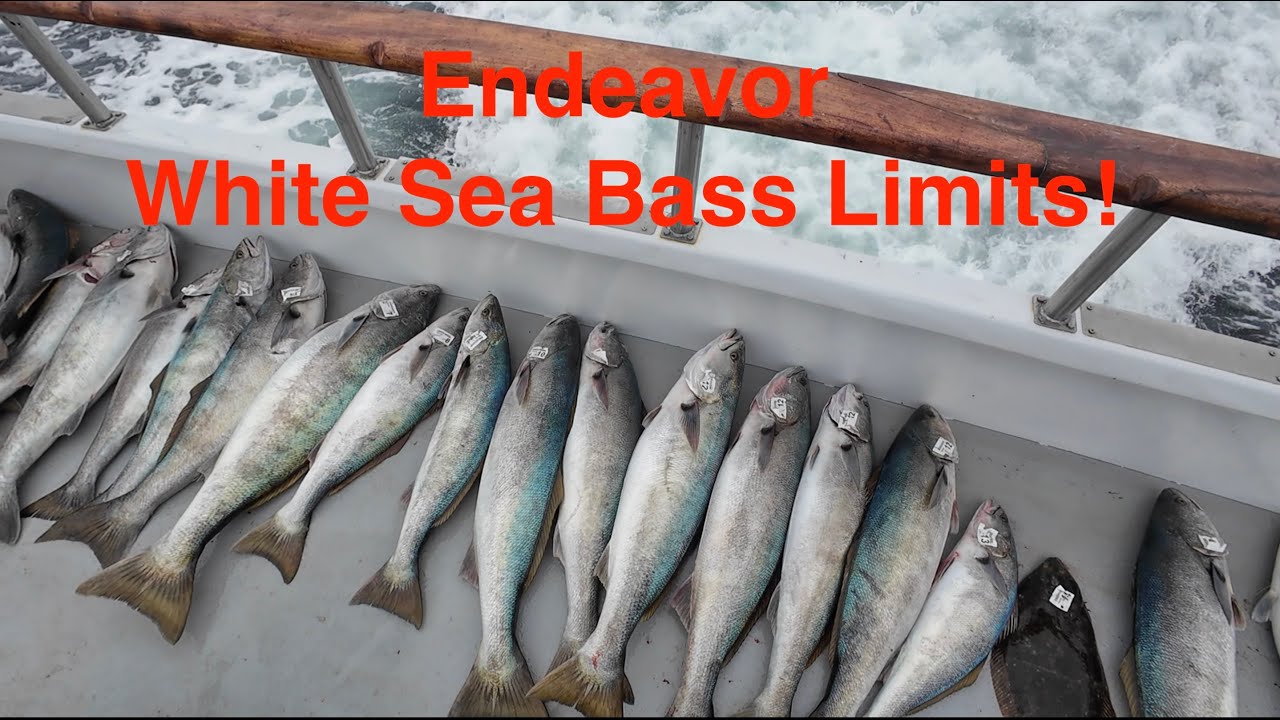 Endeavor May 1, 2025 Fishing Santa Rosa Island