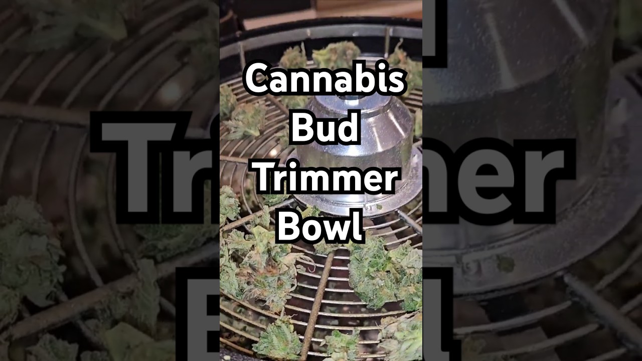 Cannabis Bud Leaf Trimmer Bowl - So AWESOME!!