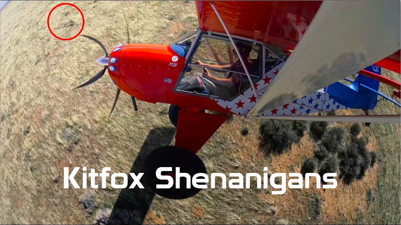 Kitfox Shenanigans, off field landings, coyote chasing, with audio