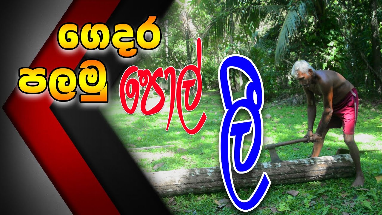 ගෙදරදි පලමු පොල් ලී........ Let's make coconut wood at home | How To Make Coconut Timber