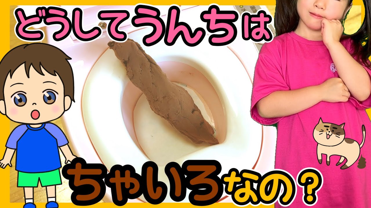 可愛い色のうんちってできる？どうしてうんちはいつも茶色なの？ 身体の仕組み | 知育動画 | 非認知能力 |  トイレトレーニング | 生活習慣