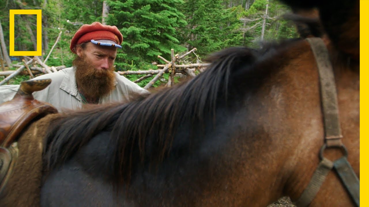 Mule Mayhem | Live Free or Die