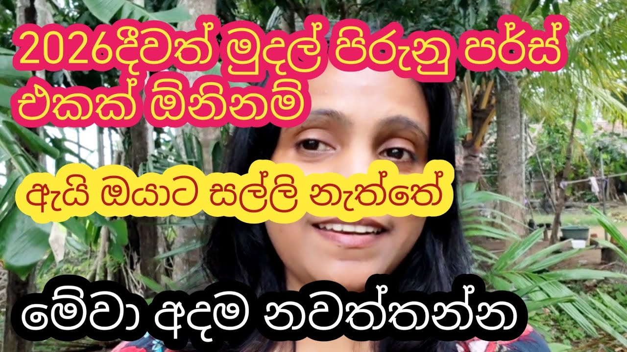 මුදල් ගොඩක් හොයන්න ඕනිනම් || මේවා කරලම බලන්න්කෝ