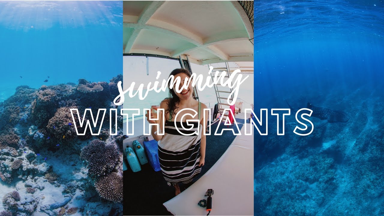 I WAS SO LUCKY! Swimming with Giants | Georgia Meuleners