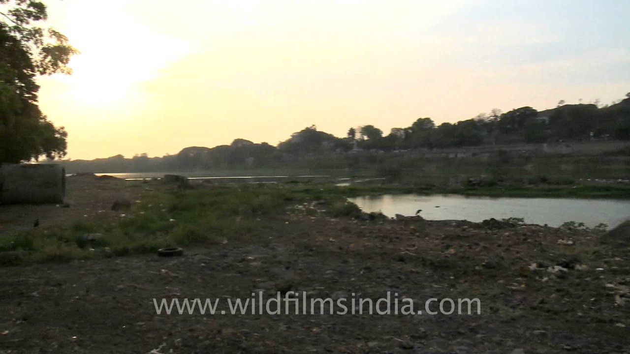 Lake near The Bund Garden, Pune