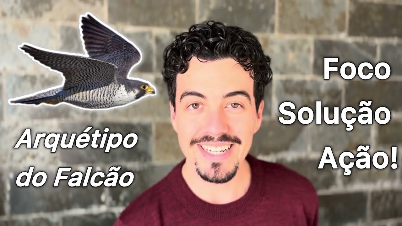 Arquétipo do Falcão - Como não desistir dos seus sonhos? | Minha experiência