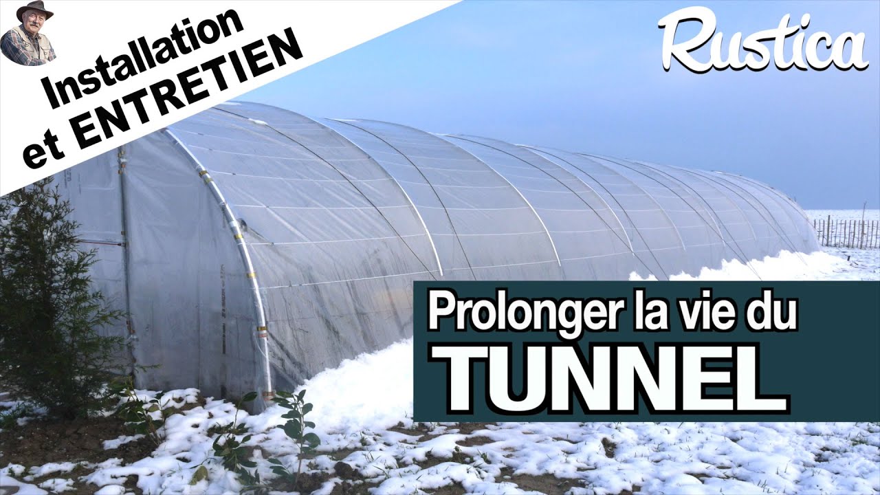 Installation et entretien d’un tunnel au jardin