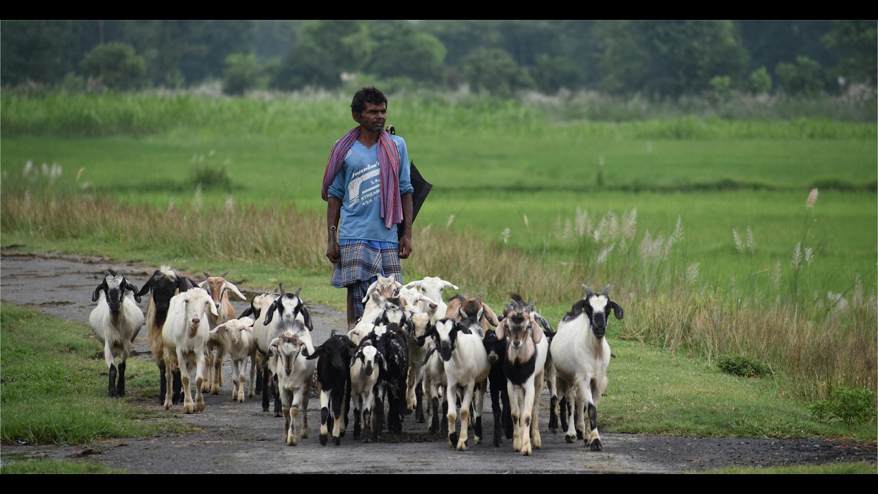 Manikstu Agro lauded by Prime Minister, Narendra Modi for strengthening Odisha's rural economy