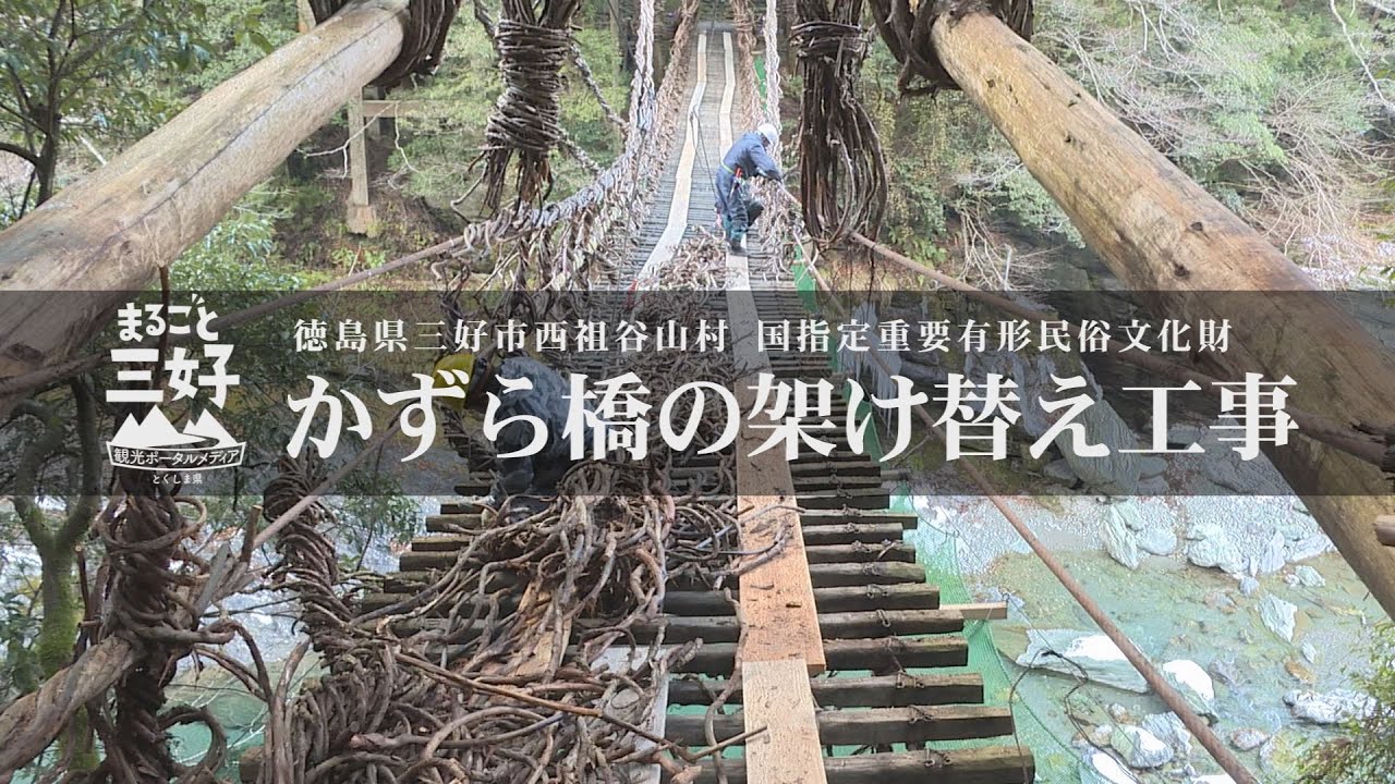 【三好のスポット】徳島県三好市・祖谷のかずら橋が3年に1度の架け替え工事を行っています。