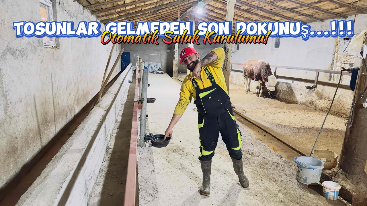 Besi İşine Başlıyoruz: Otomatik Suluk Montajı ve Son Hazırlıklar