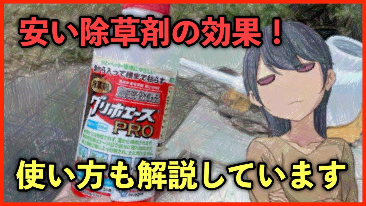 安い（350円）除草剤の効果！ラウンドアップと同じ成分ですが、、、