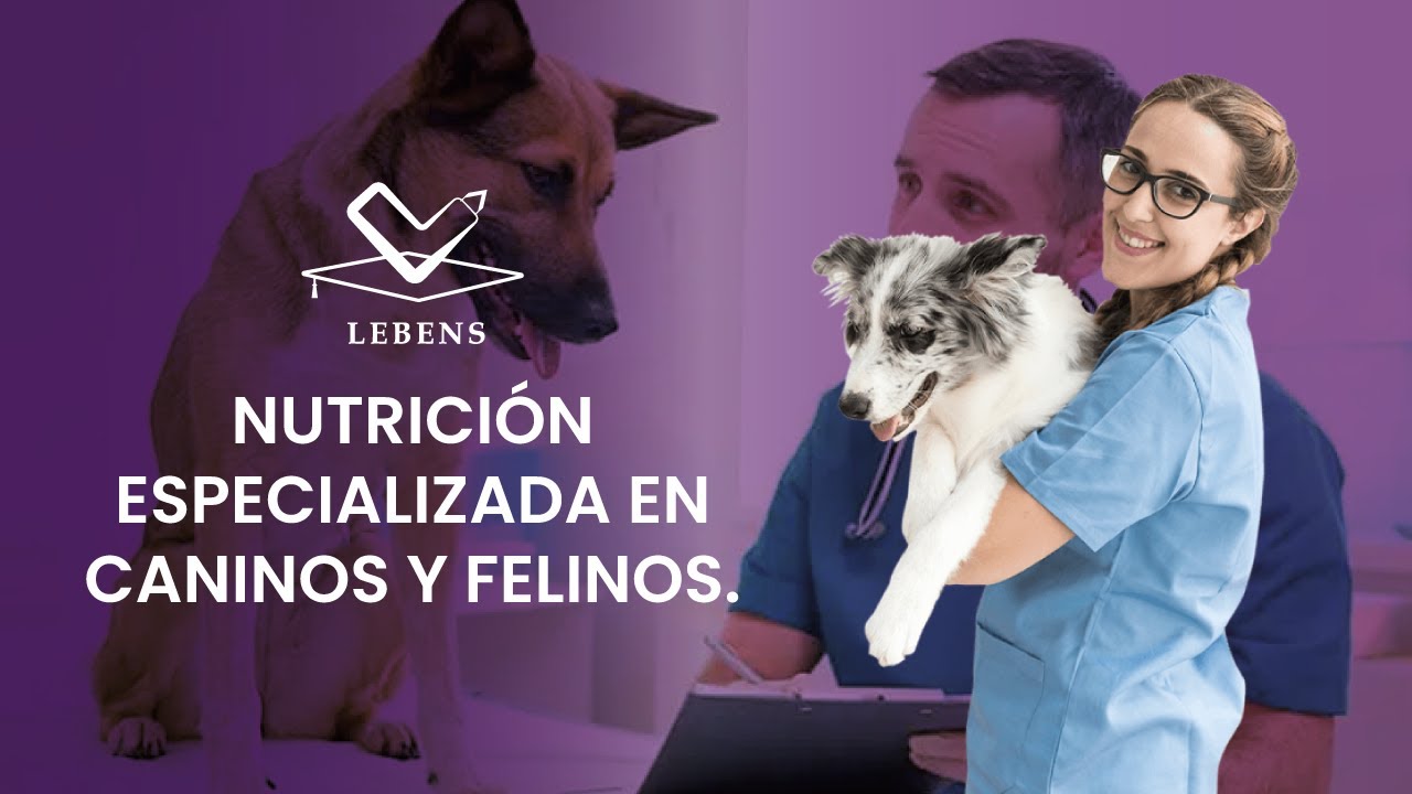 NUTRICIÓN ESPECIALIZADA EN CANINOS Y FELINOS.