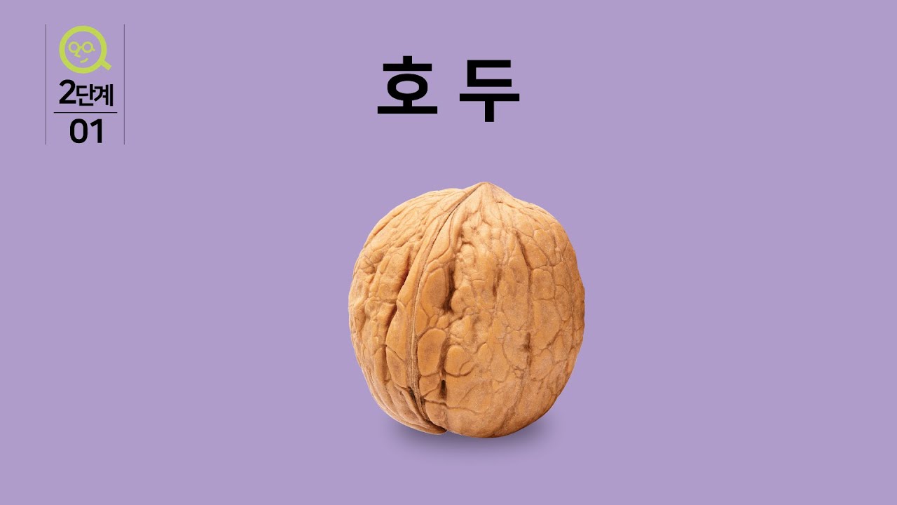 안다과학 1호 2단계 도감 호두