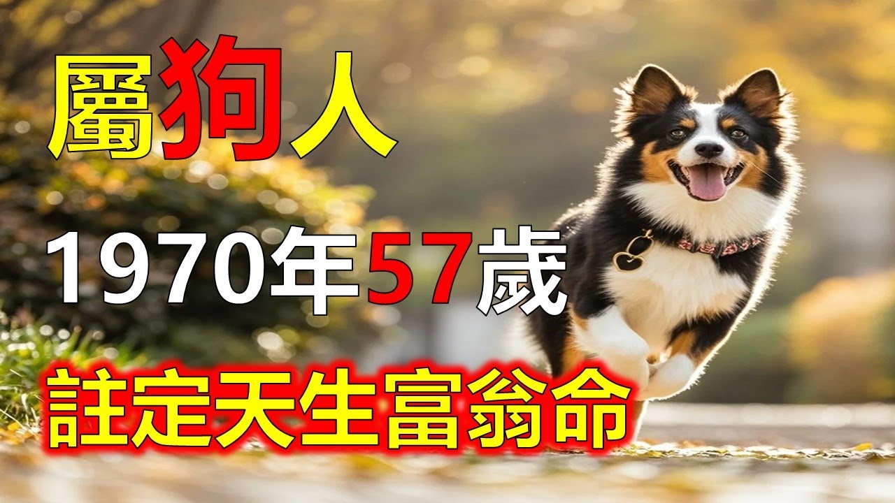 1970年屬狗人，2026年註定天生富翁命#2026狗#生肖狗#1970 狗