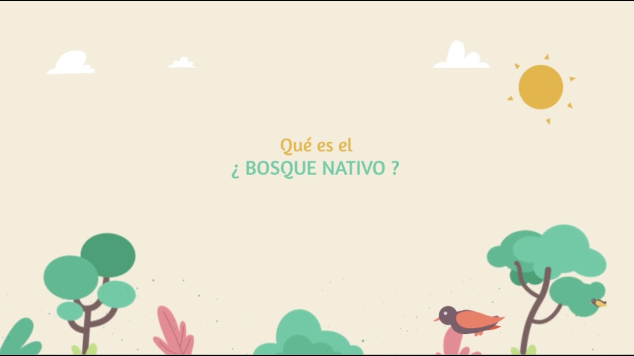 &iquest;Qu&eacute; es un Bosque nativo?
