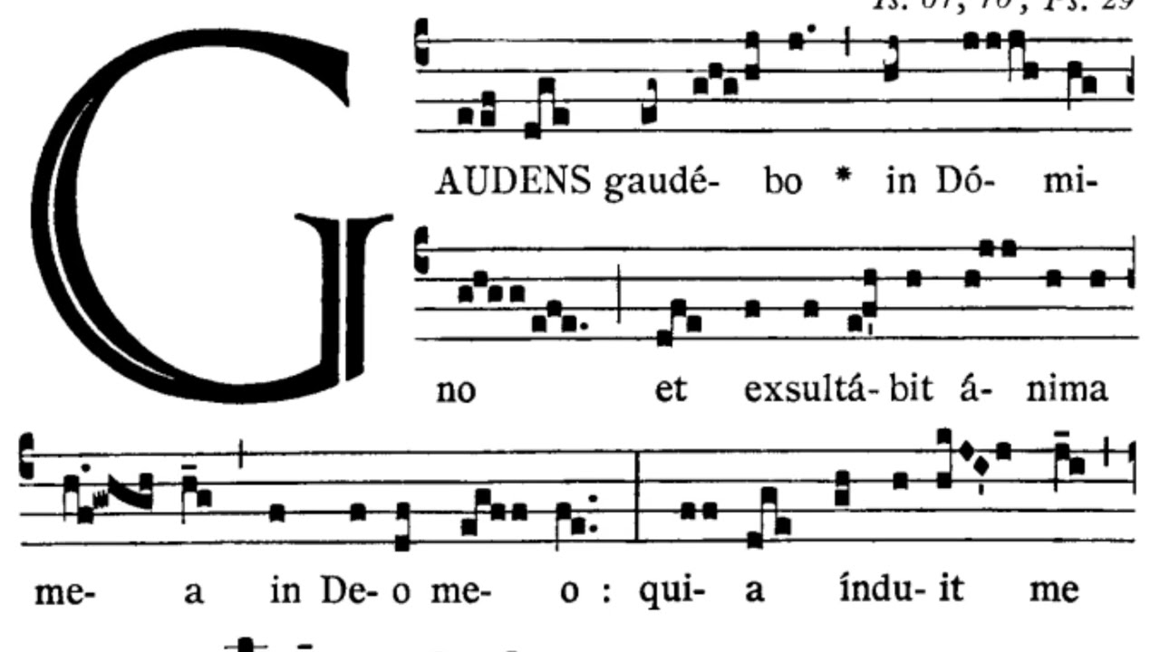 Introit - Gaudens Gaudebo