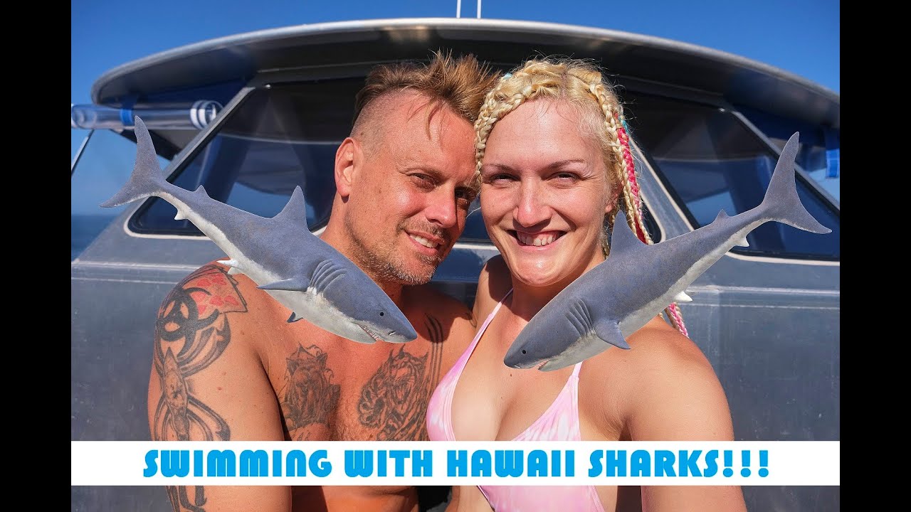 SWIMMING WITH HAWAII SHARKS??? Do YOU dare?? North Shore Shark Adventures/Farm To Barn Natural Food