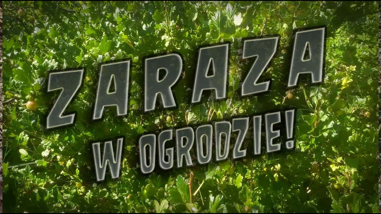 Jak radzić sobie z chorobami w ogrodzie.