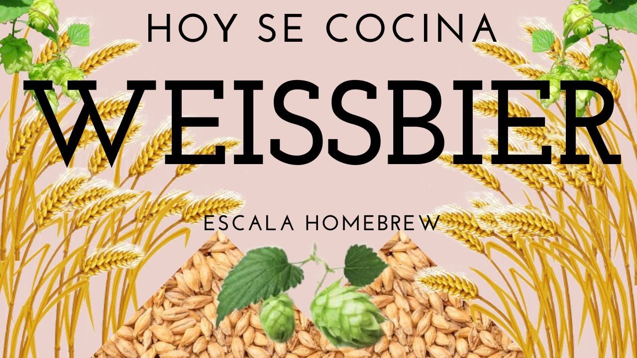 Prepara tu cerveza Weissbier!!! Cerveza de Trigo!!! Cerveza Artesanal Saga!!!!
