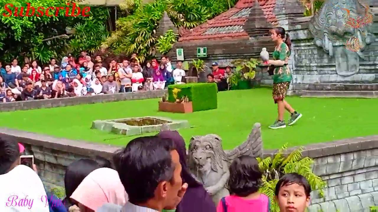BIRD SHOW TAMAN SAFARI INDONESIA PRIGEN