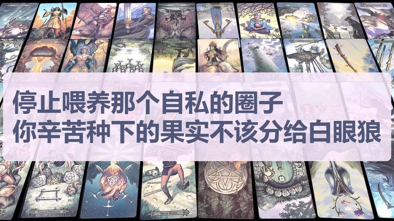 Tarot✨停止喂养那个自私的圈子，你辛苦种下的果实不该分给这群白眼狼