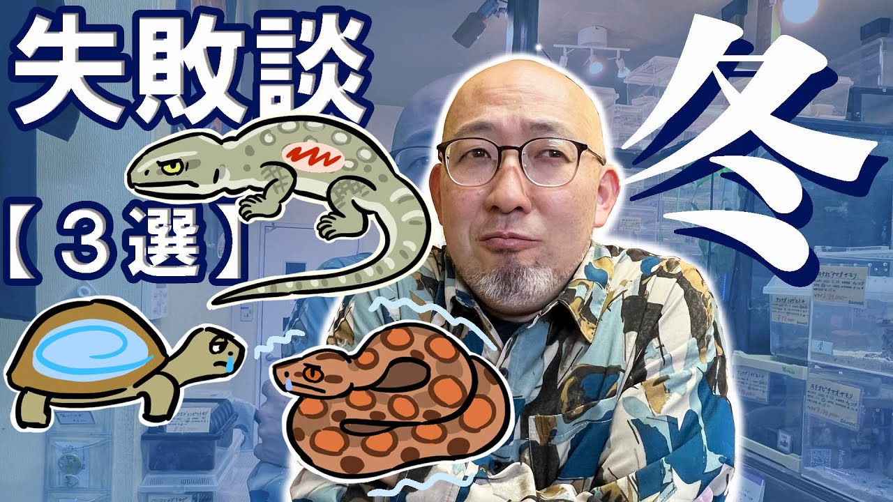 【爬虫類の保温】冬の対策やりがち失敗談３選!!!!