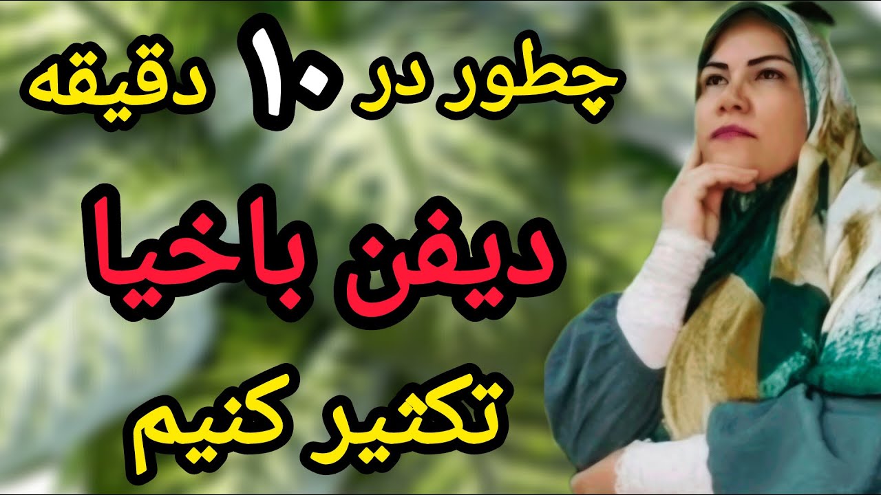 ساده‌ترین راه های تکثیر گیاه🪴دیفن باخیا🪴. در منزل🪴 دیفن باخیا 🍀خود را به راحتی تکثیر کن🤩🤩