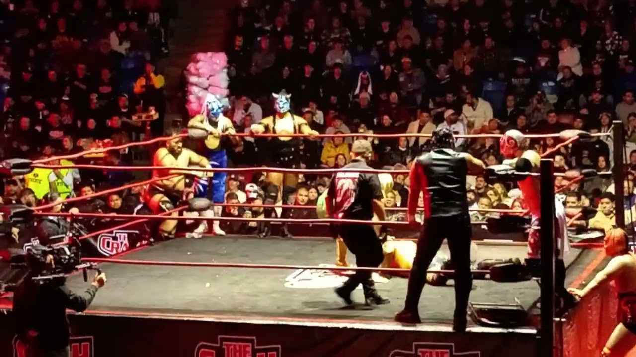The crash lucha libre
