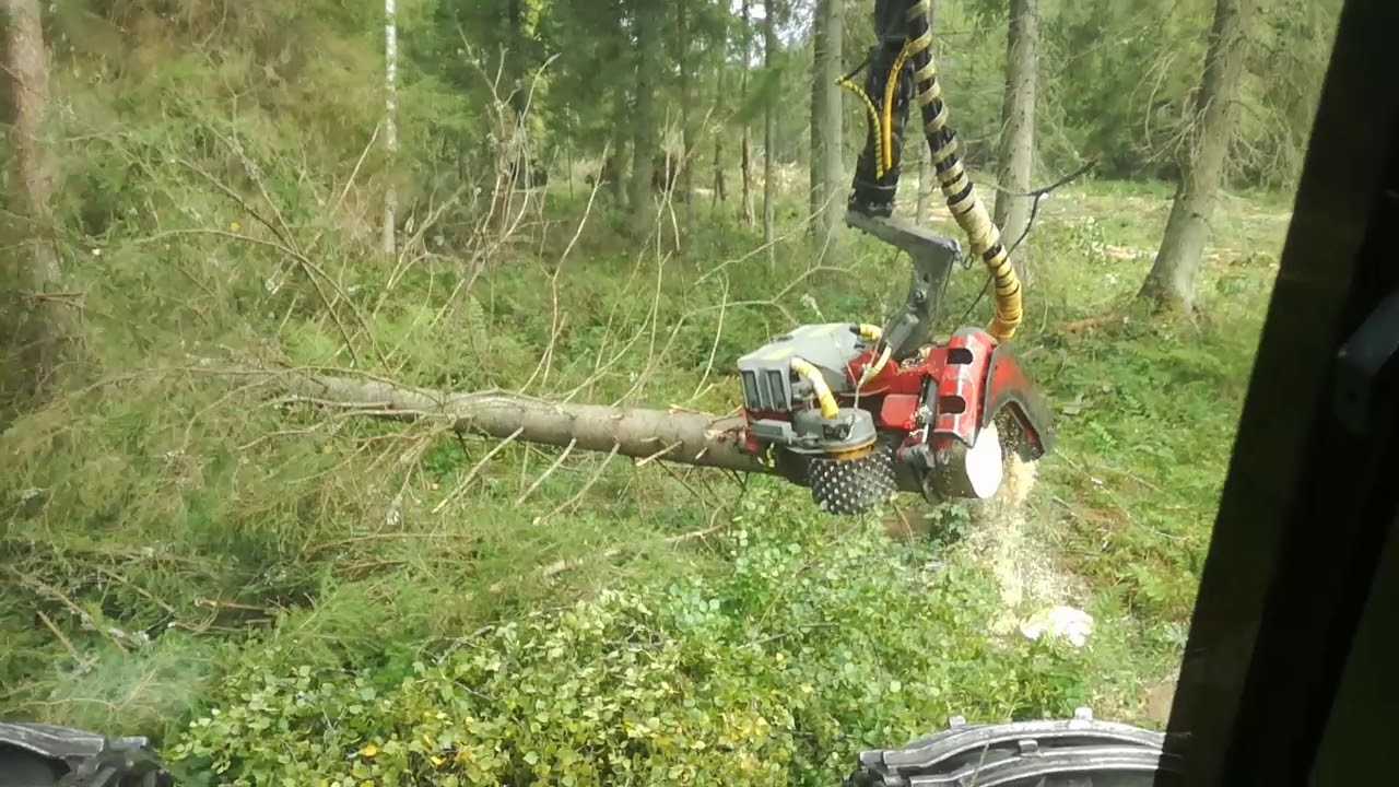 Ecolog 560C Logmax 5000 final felling.