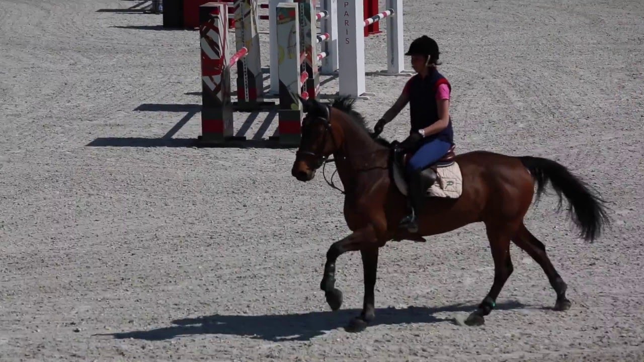 Masterclass Nelson Pessoa x Jos Kumps